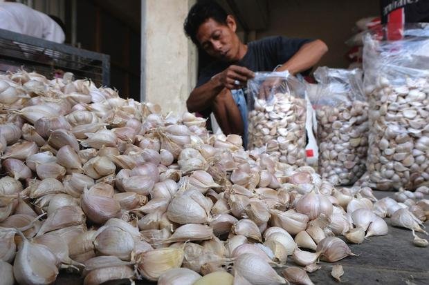 Manfaat Bawang Putih Untuk Kesehatan