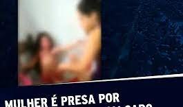 Link Portal Zacarias Chico Pereira Video Portal Zacarias Suzano