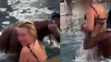 Update Link Antonio Brown Pool Video Reddit Antonio Brown News